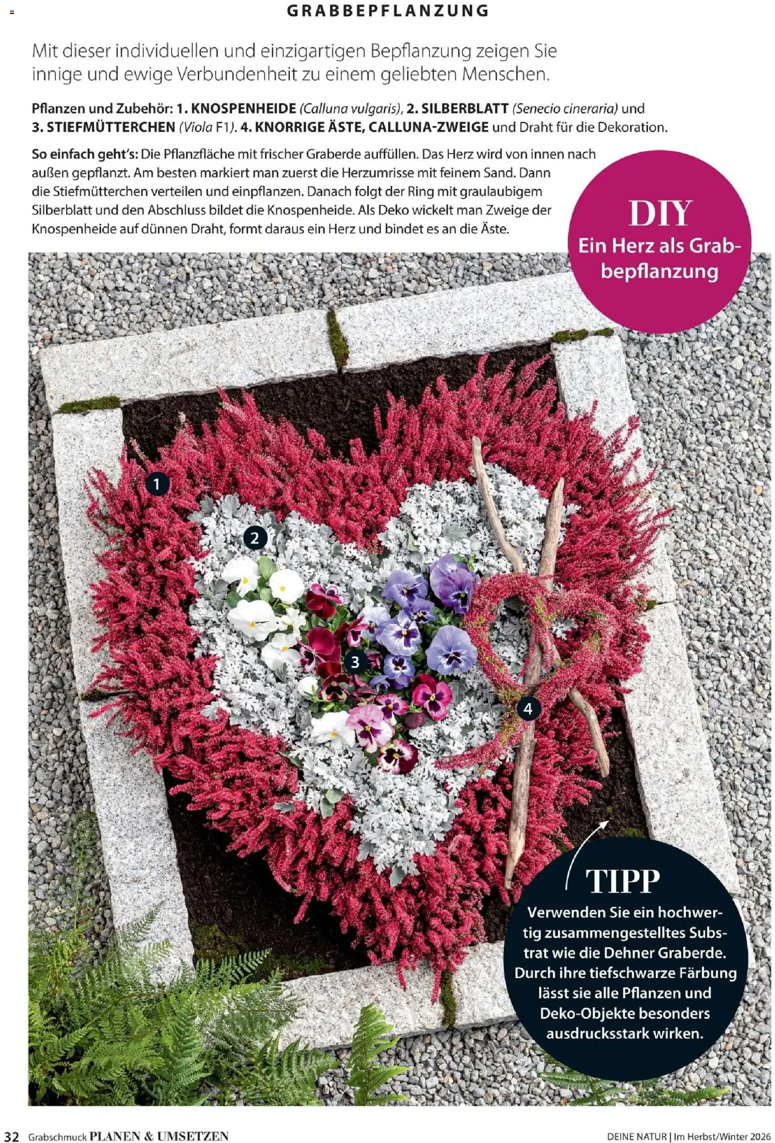 Dehner – Dehner Flugblatt (09.10.2026 – 30.11.2026) – Seite 32