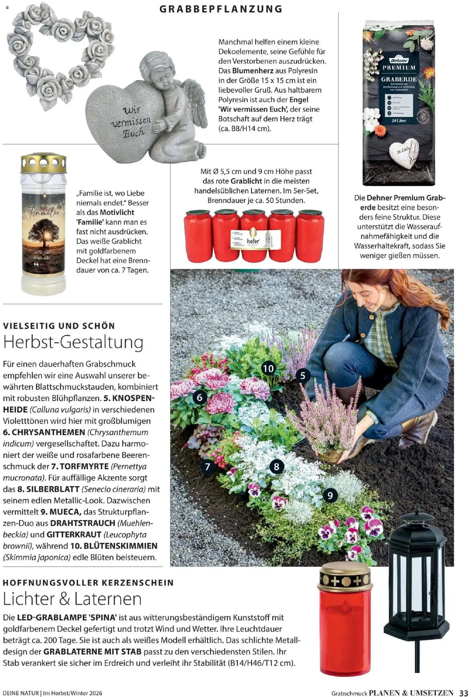 Dehner – Dehner Flugblatt (09.10.2026 – 30.11.2026) – Seite 33