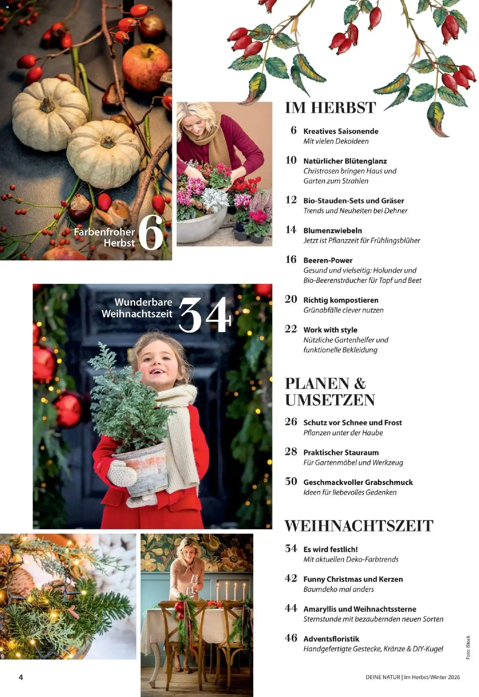 Dehner – Dehner Flugblatt (09.10.2026 – 30.11.2026) – Seite 4