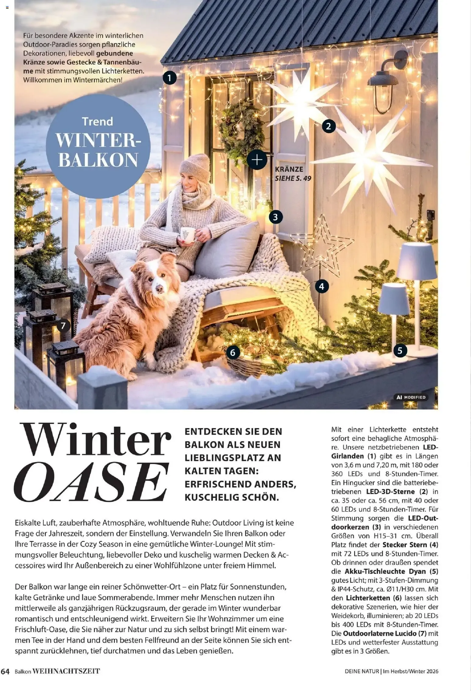 Dehner – Dehner Flugblatt (09.10.2026 – 30.11.2026) – Seite 64