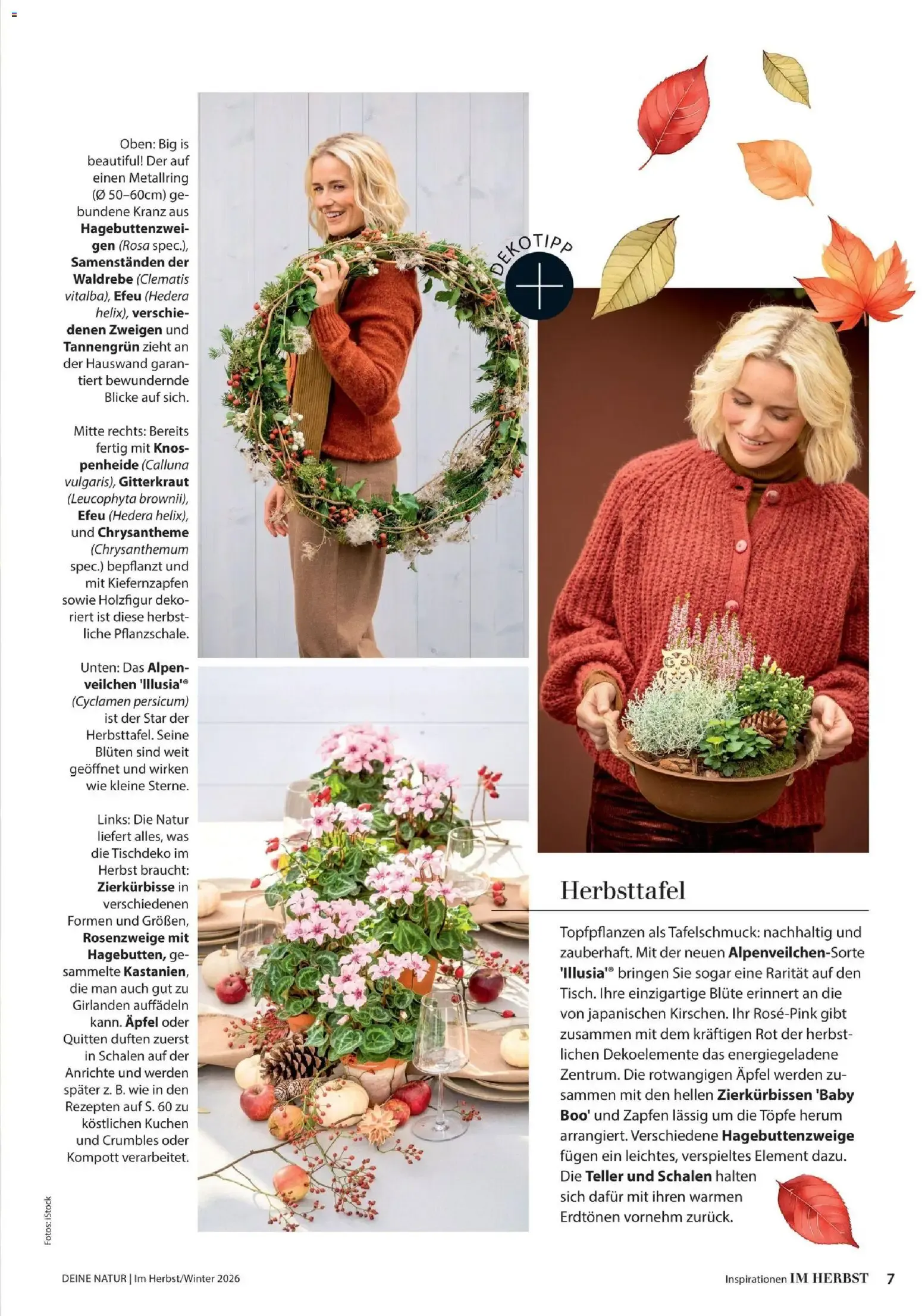 Dehner – Dehner Flugblatt (09.10.2026 – 30.11.2026) – Seite 7