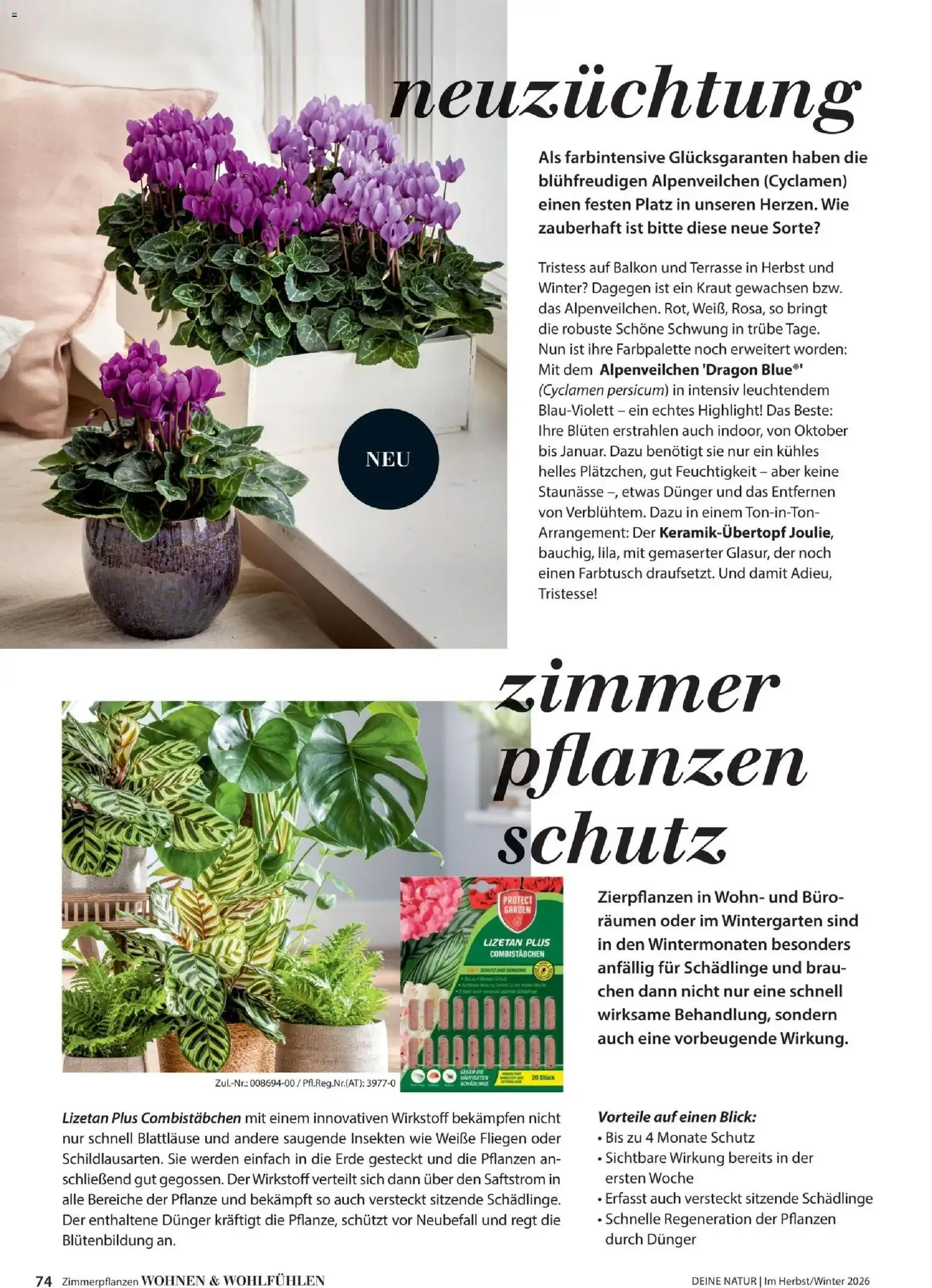 Dehner – Dehner Flugblatt (09.10.2026 – 30.11.2026) – Seite 74