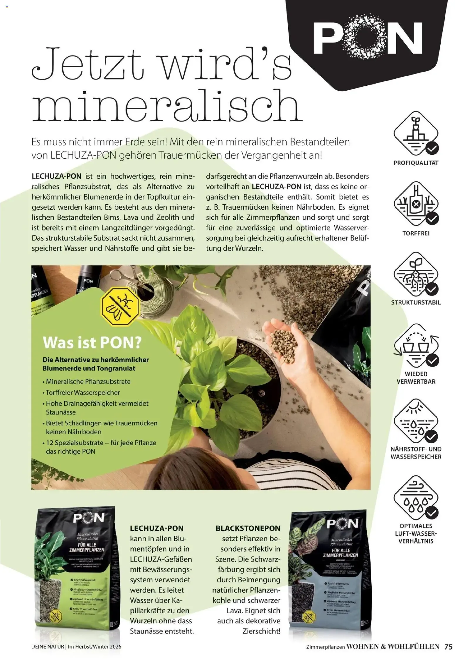 Dehner – Dehner Flugblatt (09.10.2026 – 30.11.2026) – Seite 75