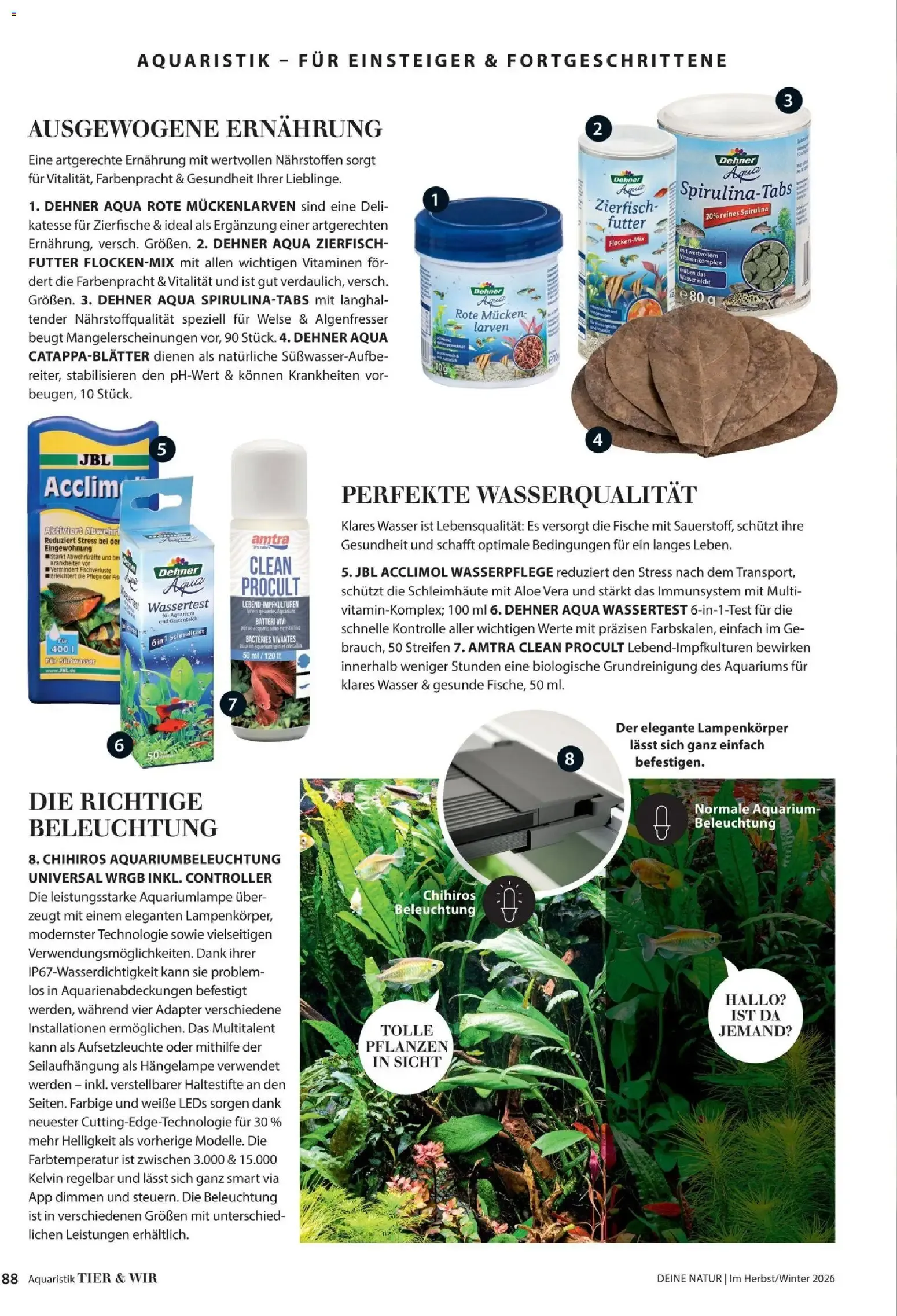 Dehner – Dehner Flugblatt (09.10.2026 – 30.11.2026) – Seite 88