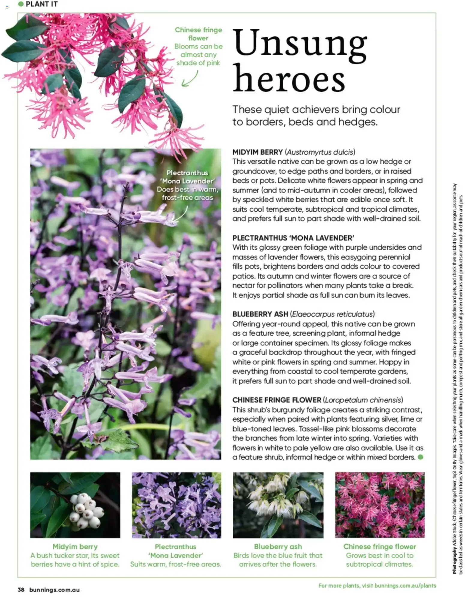 Bunnings Warehouse – Bunnings Warehouse Catalogue (01.10.2026 – 31.10.2026) – Page 38