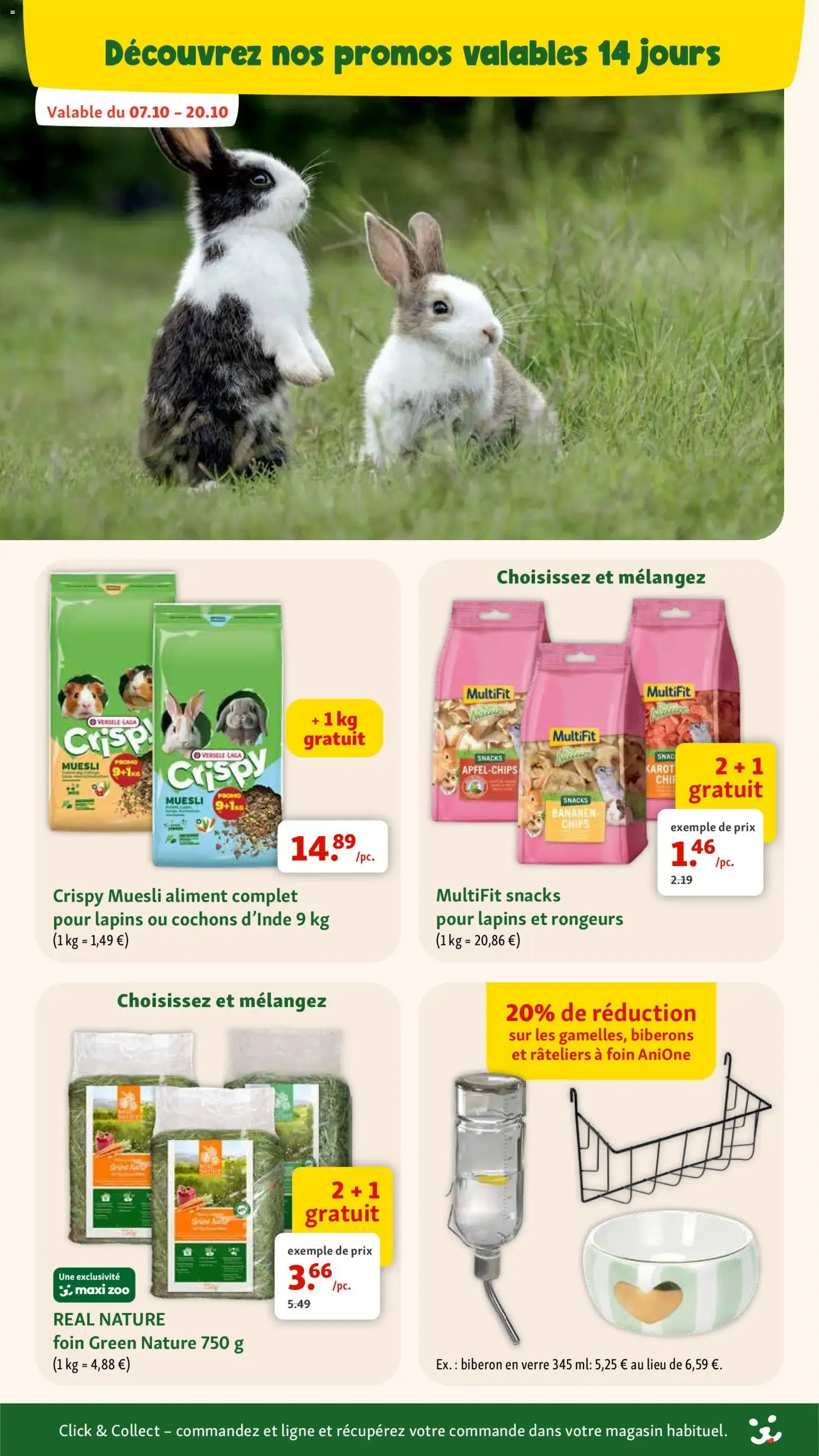 Maxi Zoo – Maxi Zoo folder (07.10.2026 – 03.11.2026) – Pagina 8
