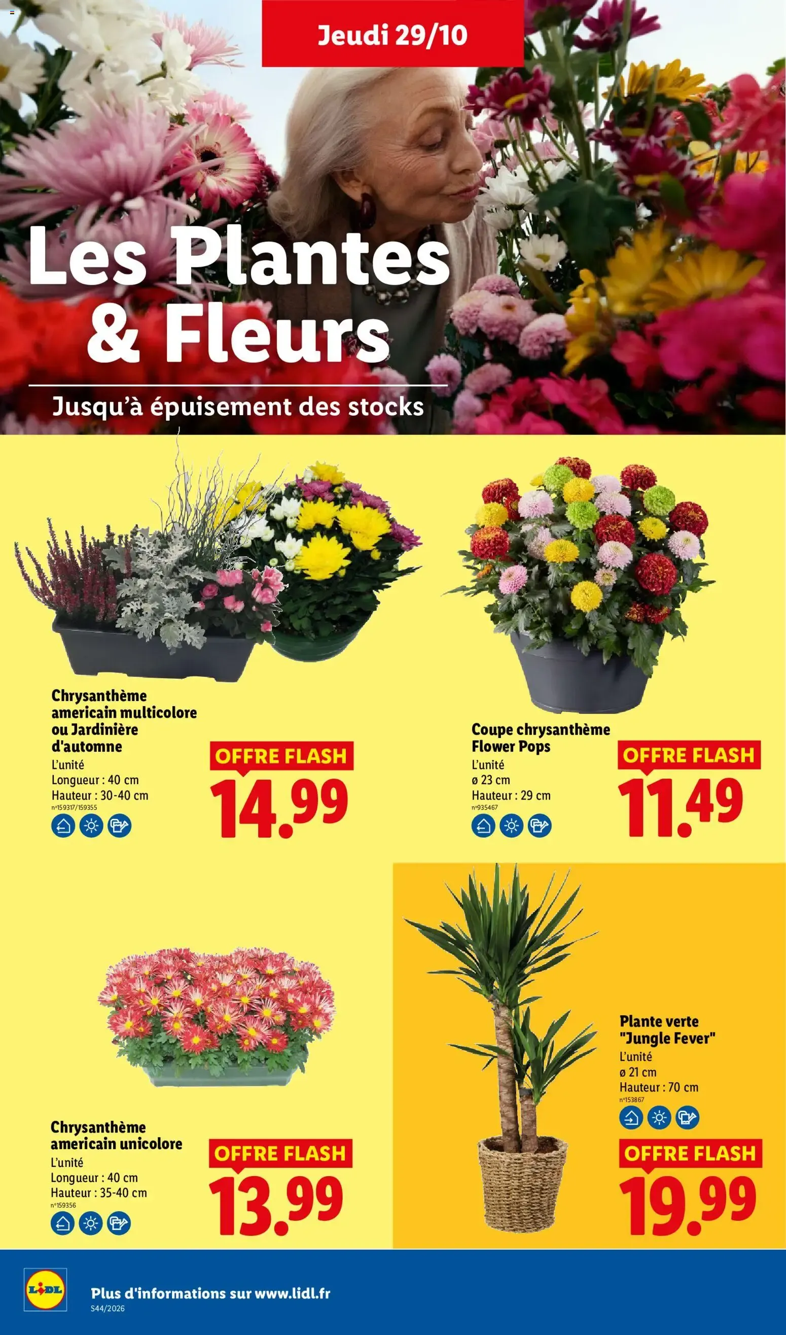 LIDL – LIDL catalogue (29.10.2026 – 04.11.2026) – Page 32