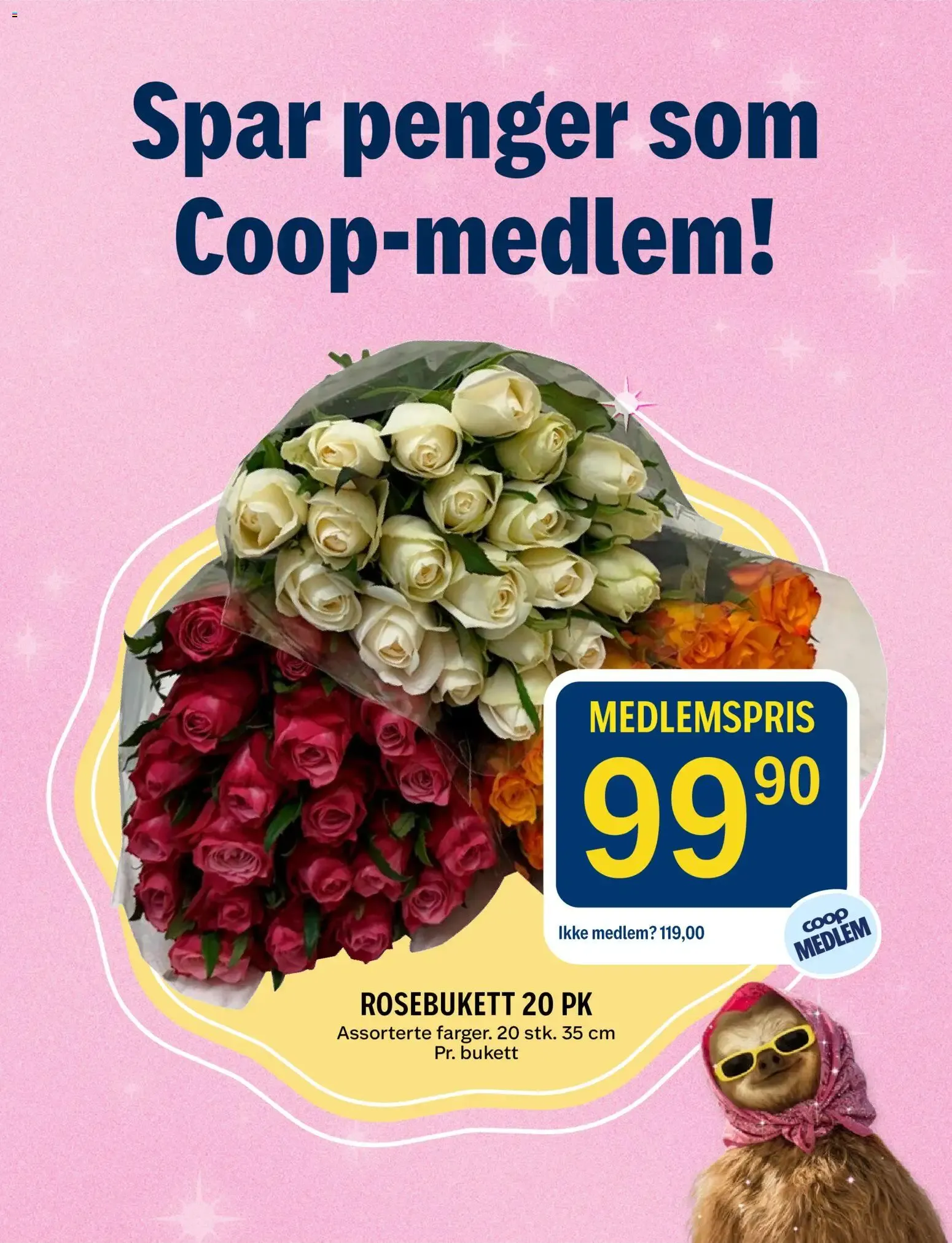 Coop Prix – Coop Prix kundeavis (19.10.2026 – 25.10.2026) – Side 15