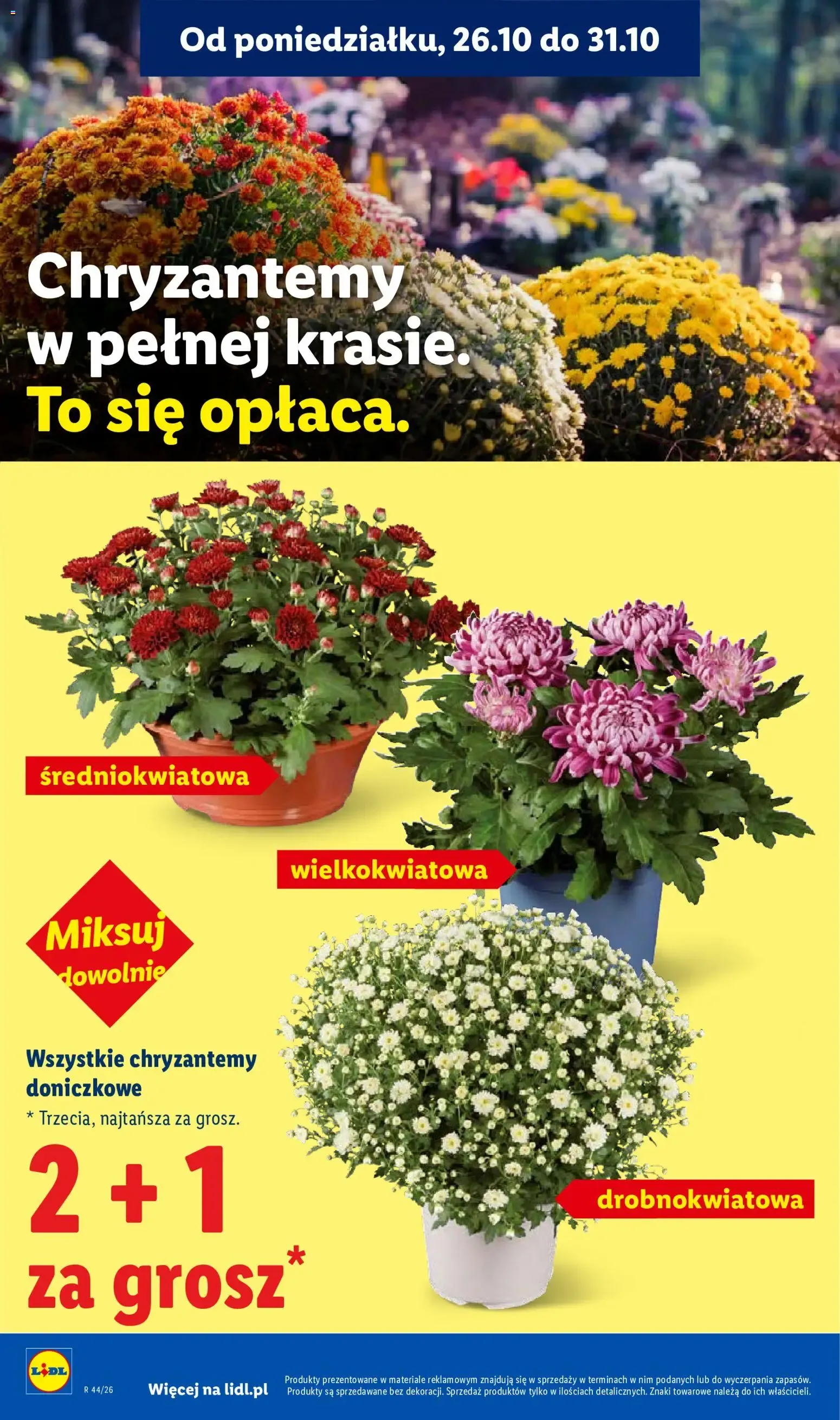 Lidl – Lidl gazetka (29.10.2026 – 31.10.2026) – Strona 4