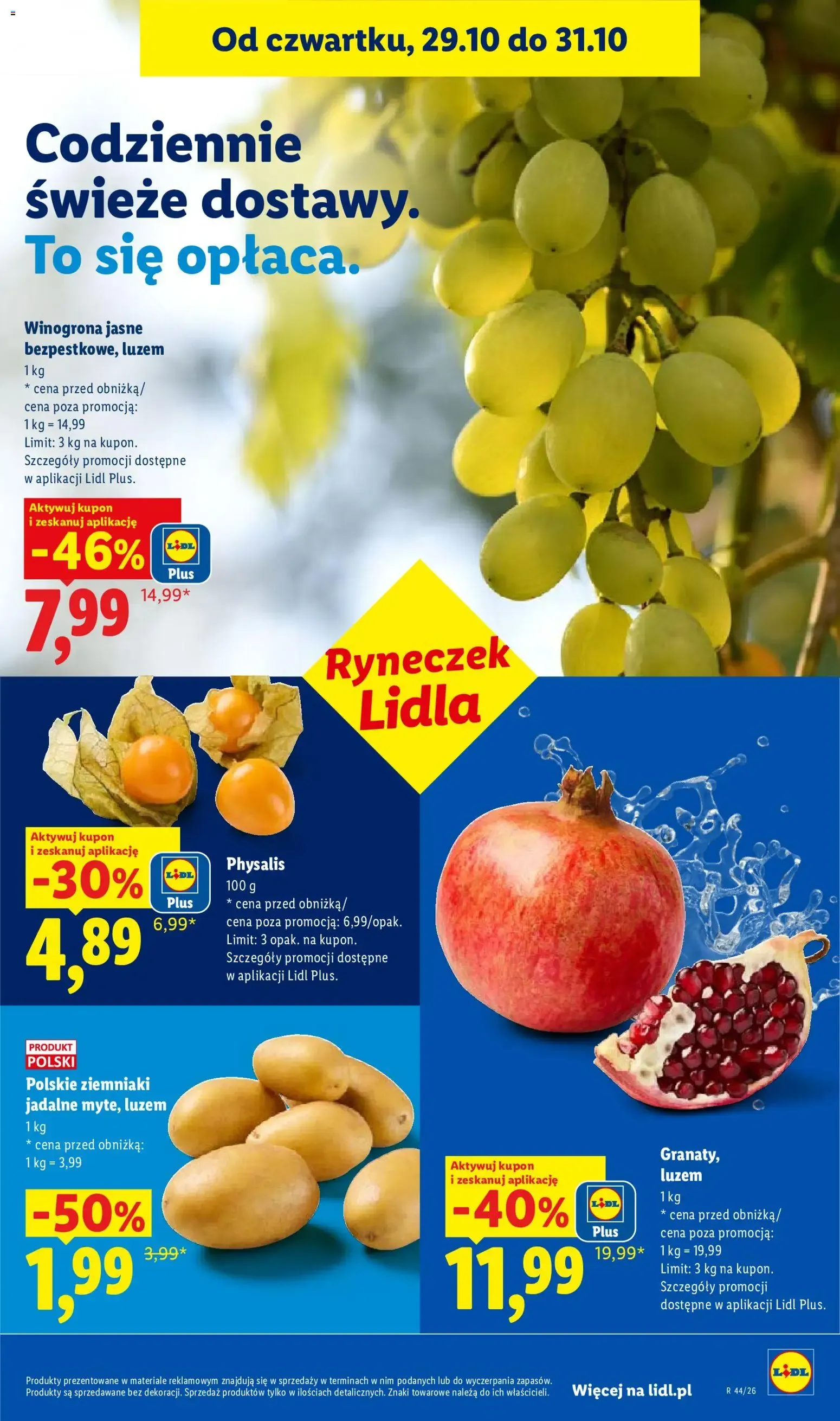 Lidl – Lidl gazetka (29.10.2026 – 31.10.2026) – Strona 49