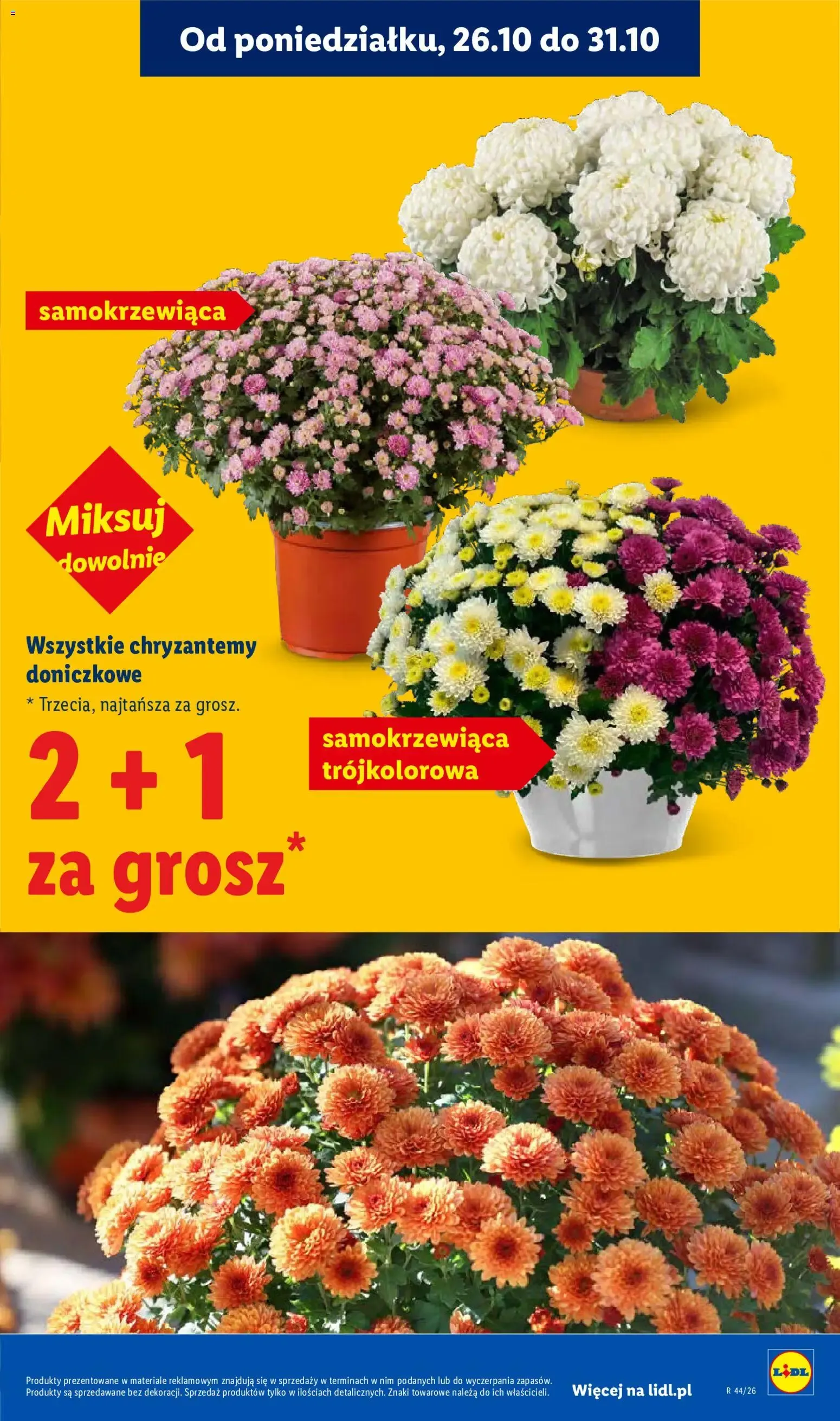 Lidl – Lidl gazetka (29.10.2026 – 31.10.2026) – Strona 5