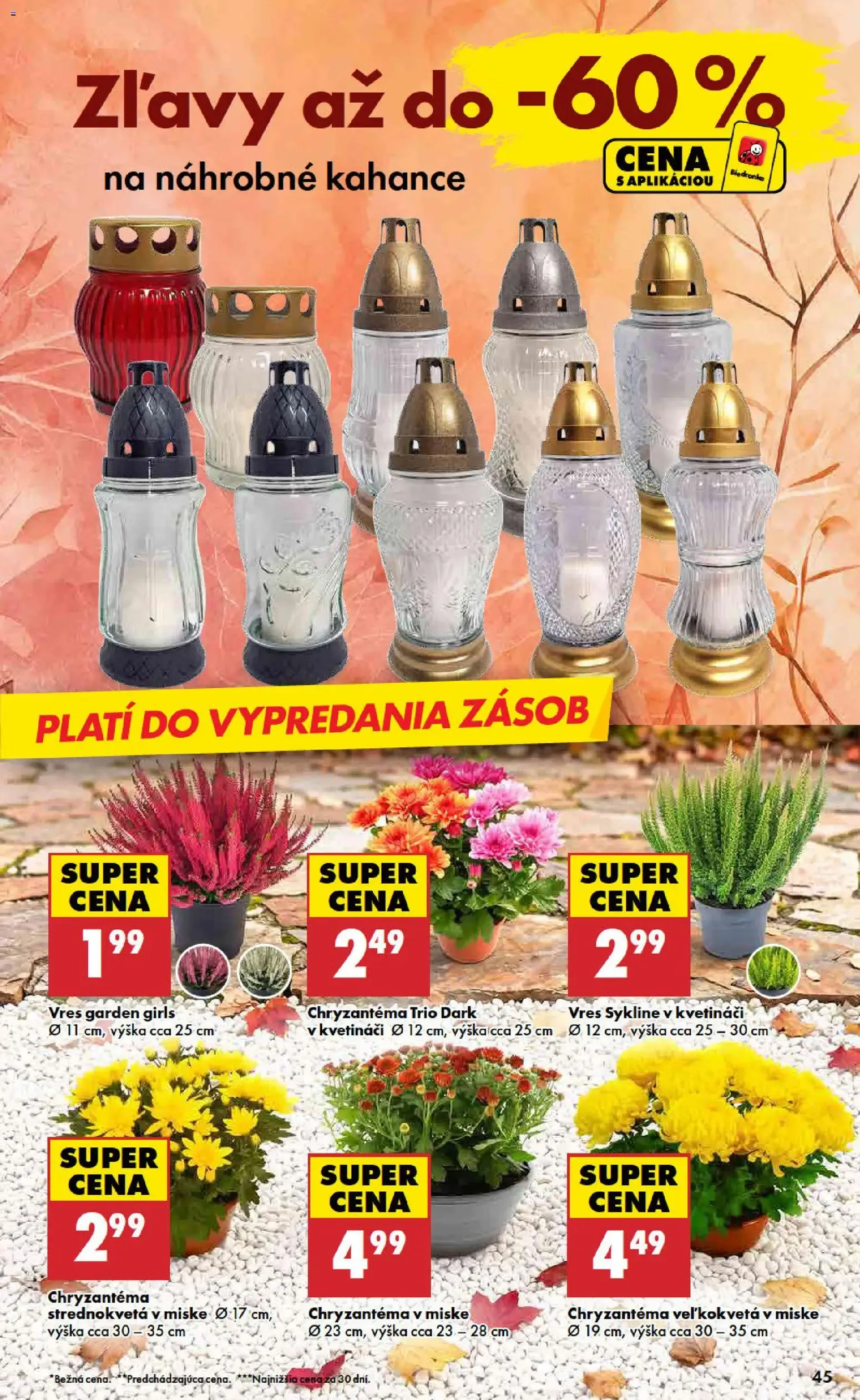 Biedronka – Biedronka leták (29.10.2026 – 04.11.2026) – Strana 45