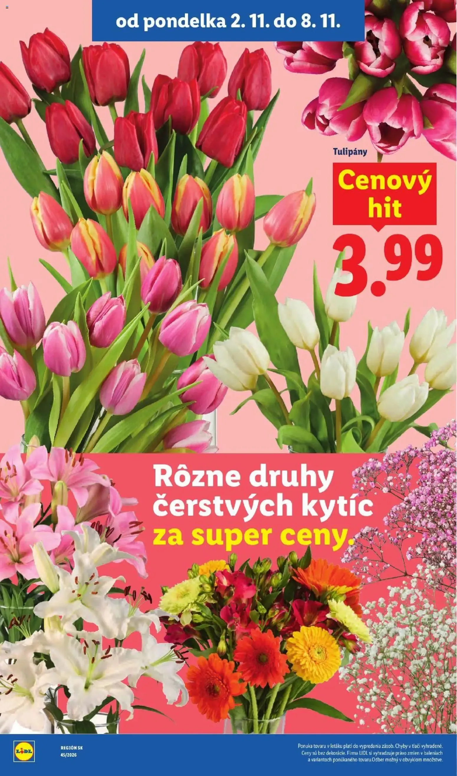 Lidl – Lidl leták (02.11.2026 – 08.11.2026) – Strana 59