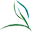 Green House