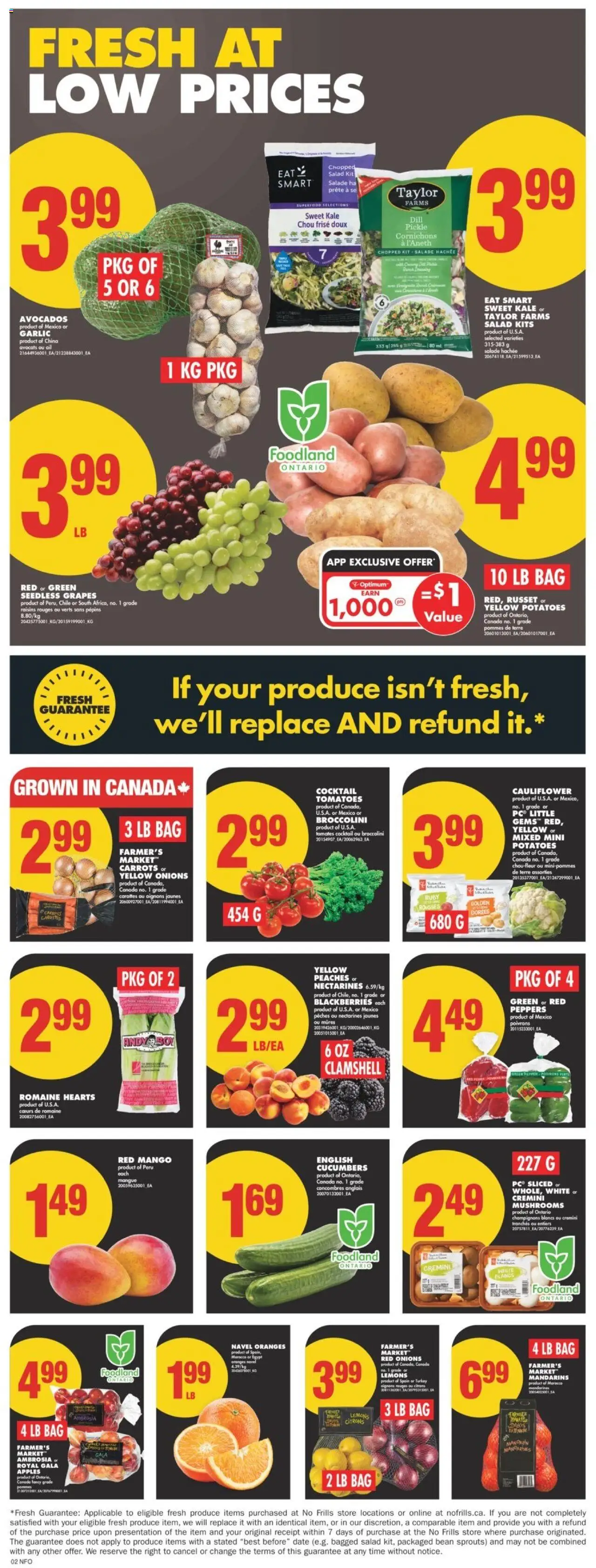 No Frills flyer valid from Feb 13, 2025 - page number 3
