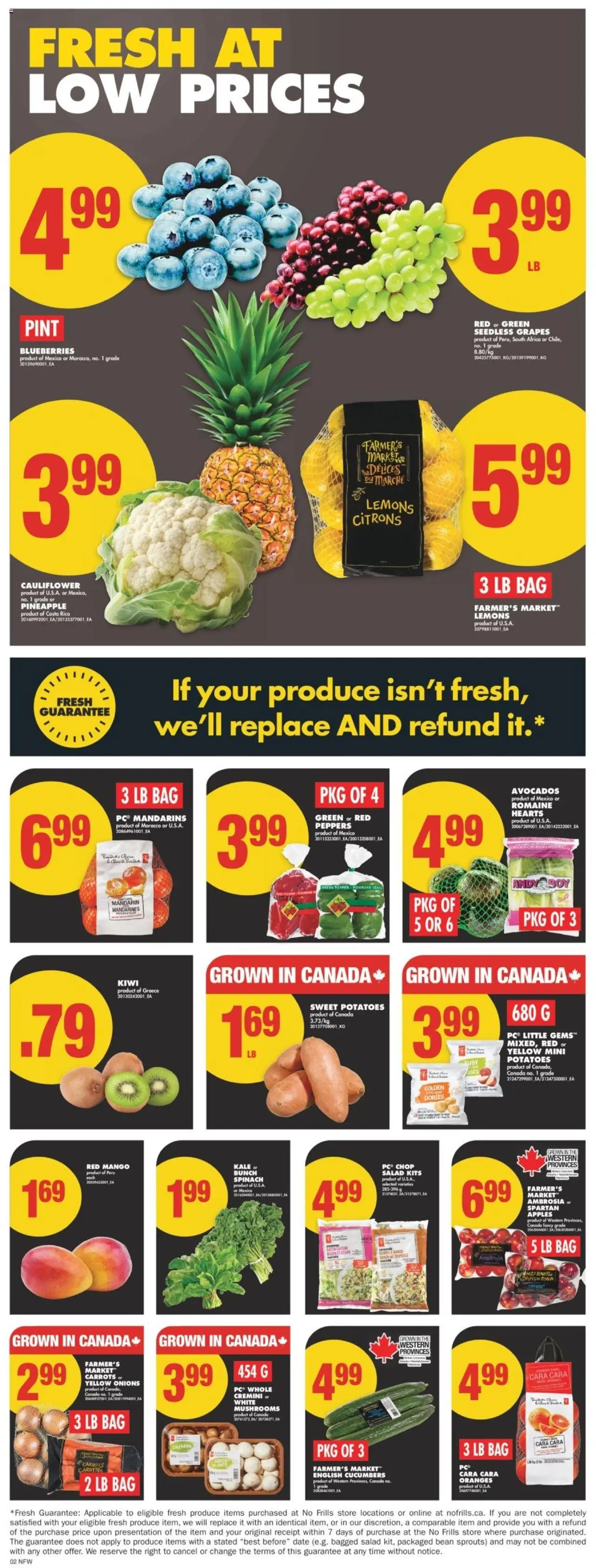 No Frills flyer valid from Feb 13, 2025 - page number 3