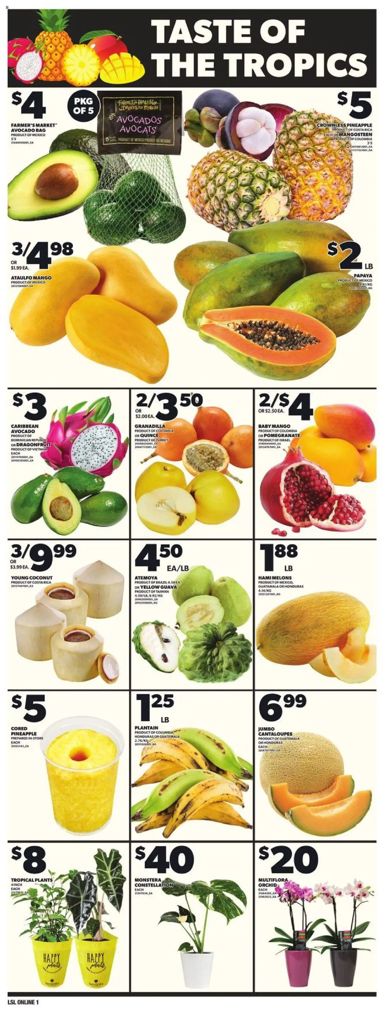Loblaws flyer valid from Feb 20, 2025 - page number 8