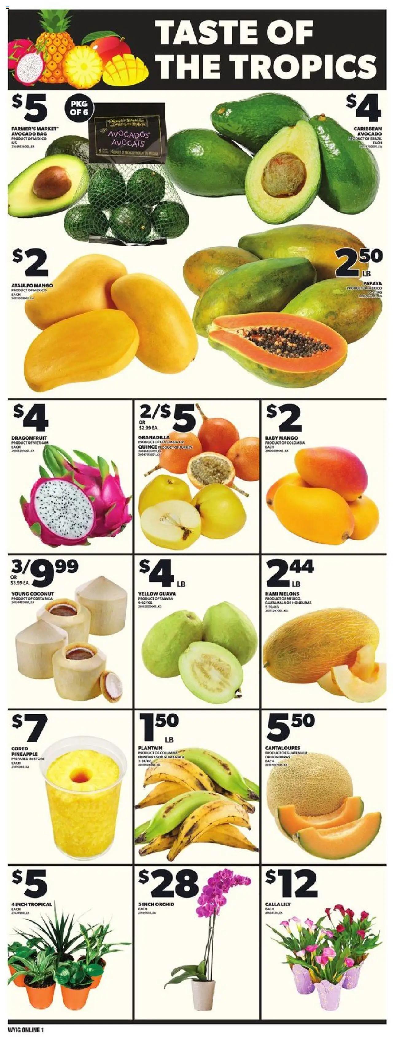 Loblaws flyer valid from Feb 20, 2025 - page number 8