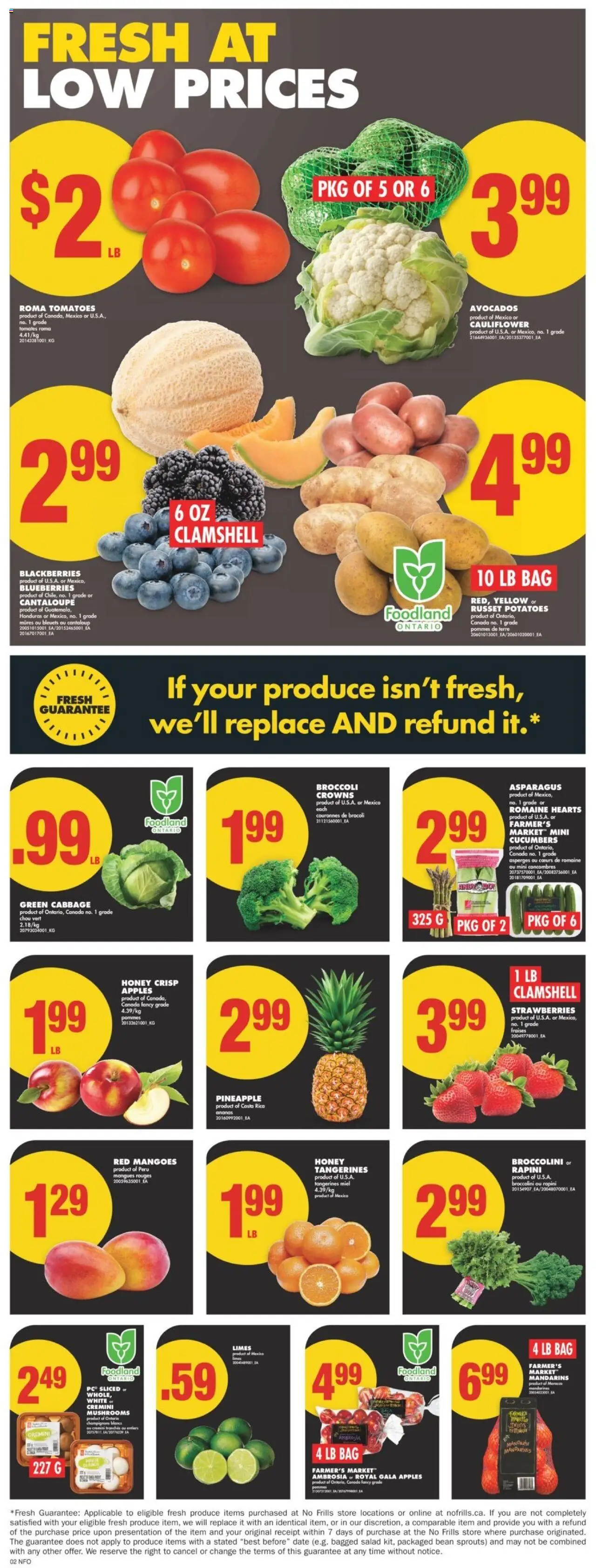 No Frills flyer valid from Feb 20, 2025 - page number 4