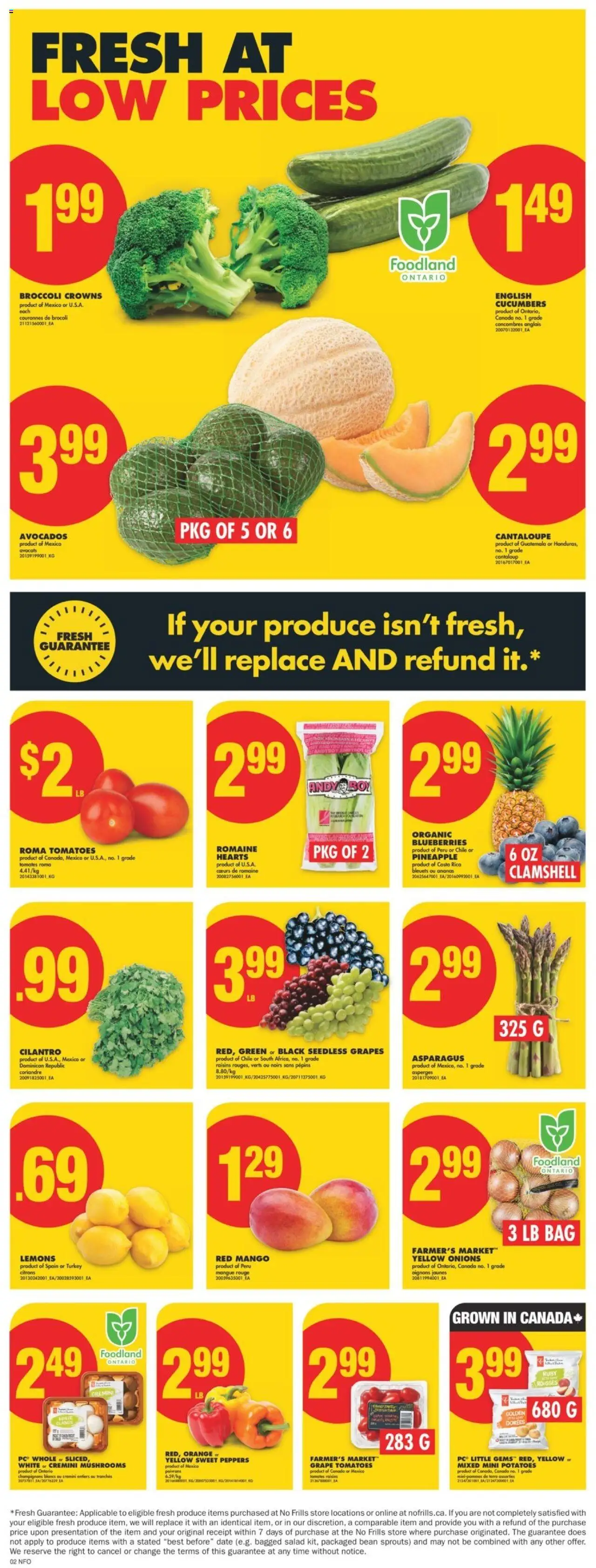 No Frills flyer valid from Feb 27, 2025 - page number 3