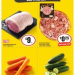 ﻿﻿IGA catalogue valid from 19/02/2025 - Preview