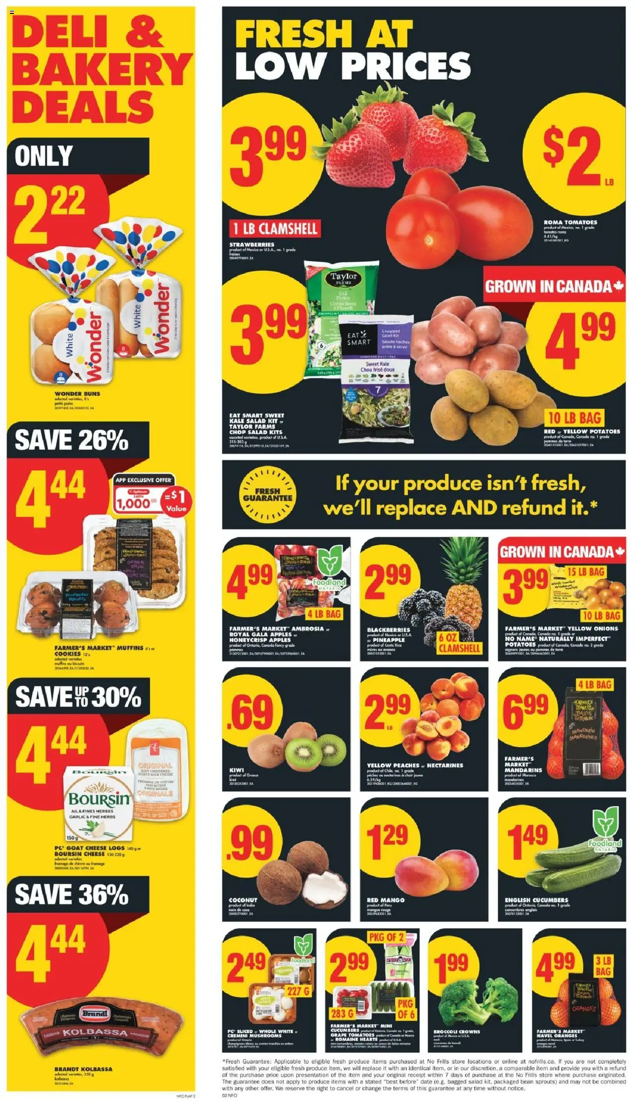 No Frills flyer valid from Mar 13, 2025 - page number 2