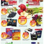 Sobeys weekly flyer starting Mar 20, 2025 ⭐️