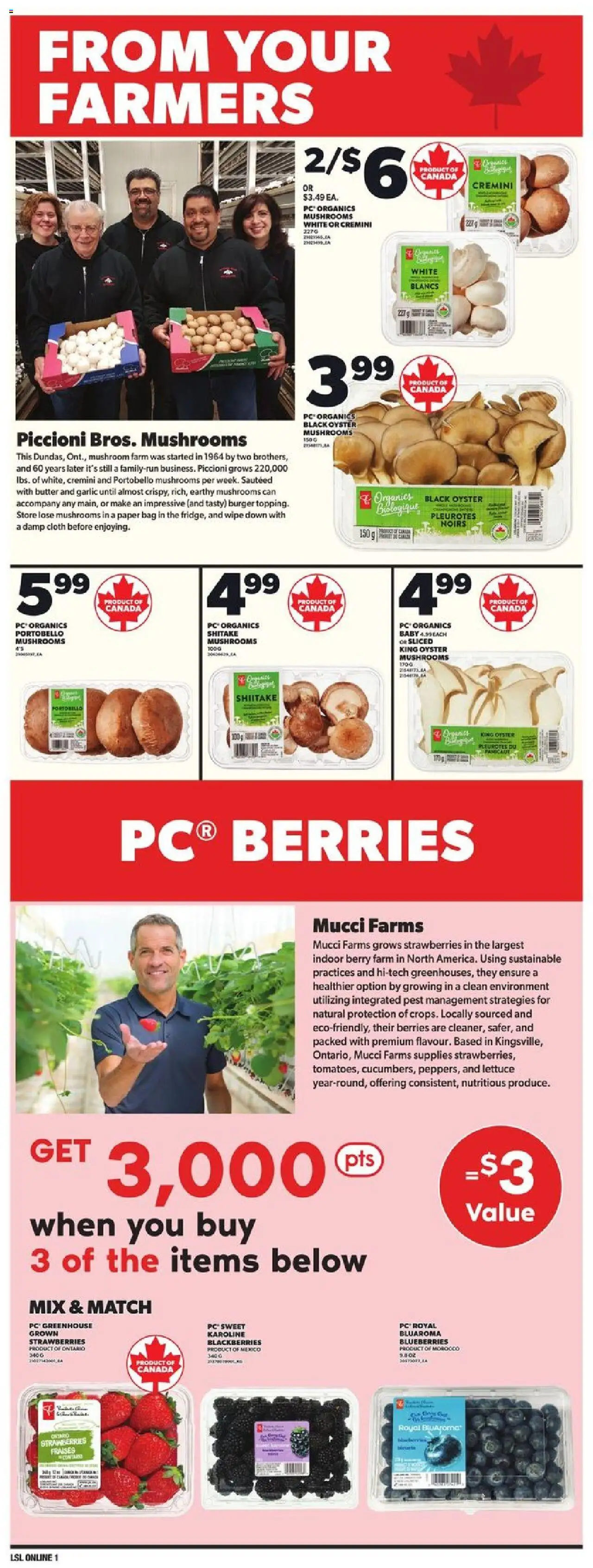 Loblaws flyer valid from Mar 27, 2025 - page number 9