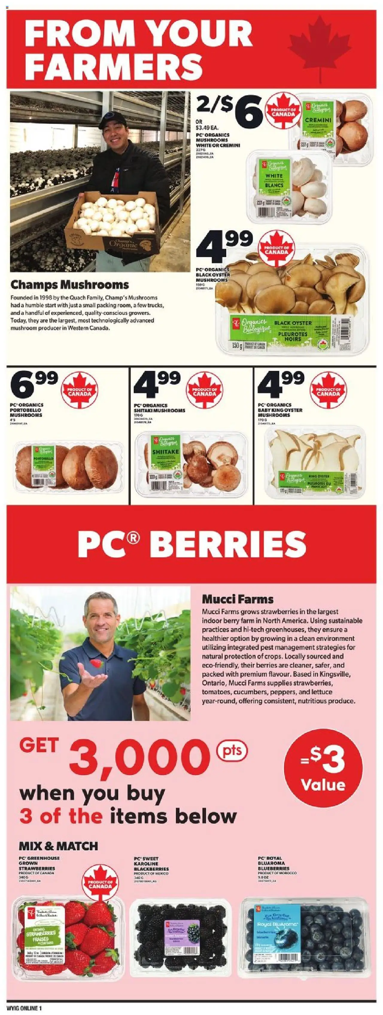 Loblaws flyer valid from Mar 27, 2025 - page number 8