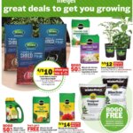 MEIJER AD from 03/30/2025 >> Great deals to get you growing > PREVIEW