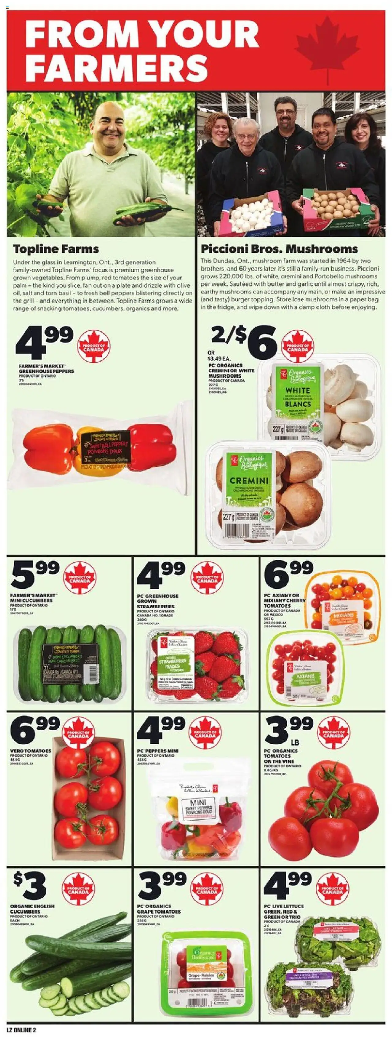 Loblaws flyer valid from Apr 24, 2025 - page number 9