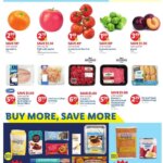 LIDL Weekly Ad - DC (04/04/2025) ☄️ >> Circular, Flyer