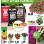 MEIJER AD from 04/21/2025 >> savings that bloom > PREVIEW