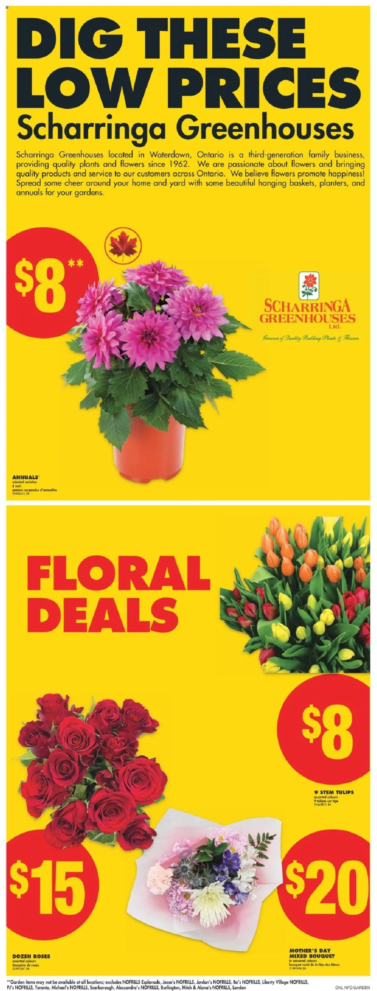 No Frills flyer valid from May 08, 2025 - page number 6