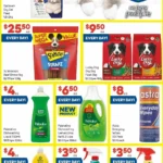 Foodland Catalogue next week Wednesday 25 September