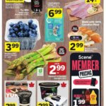 Foodland weekly flyer starting May 15, 2025 ⭐️