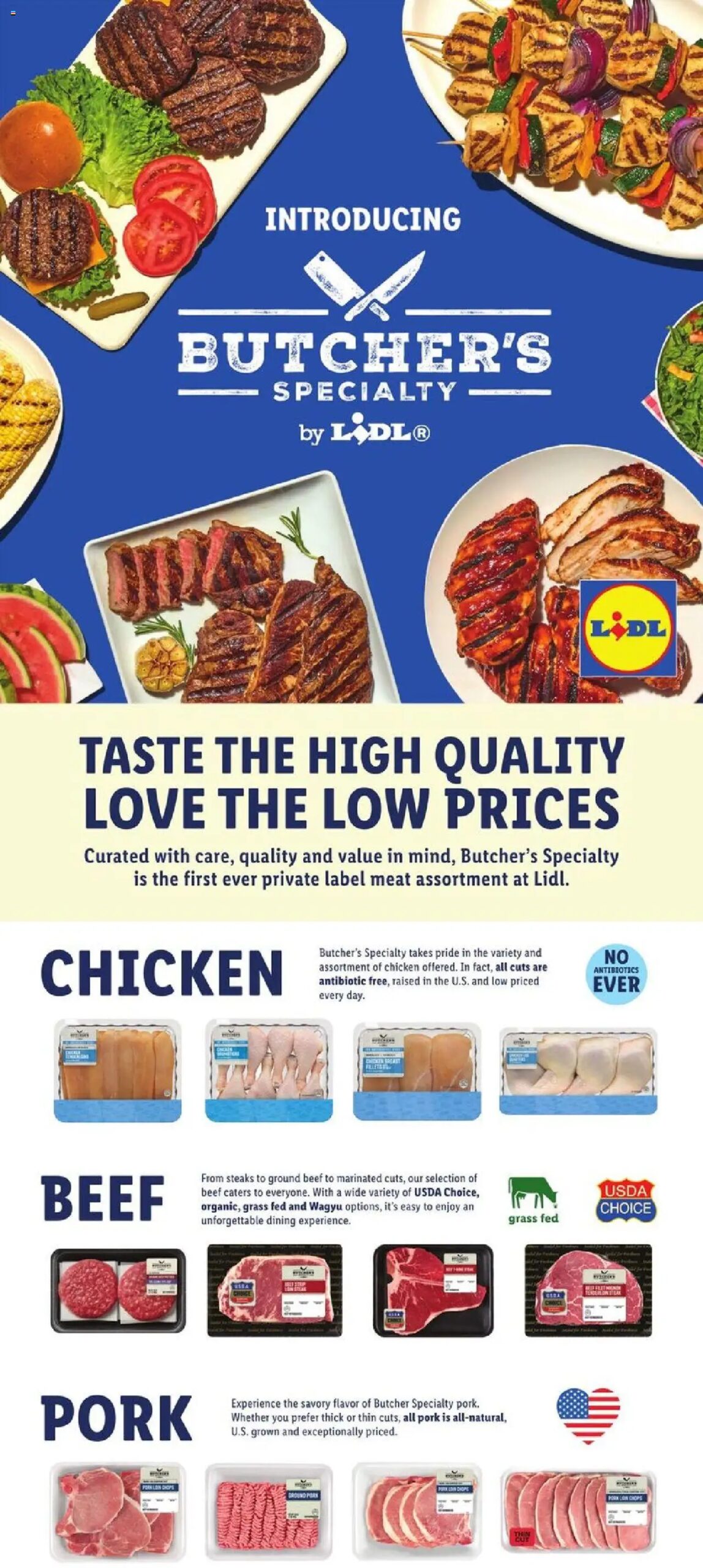 LIDL Save More at Lidl (05/16/2025) ☄️ >> Circular, Flyer