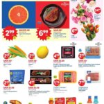 LIDL Weekly Ad (05/09/2025) ☄️ >> Circular, Flyer