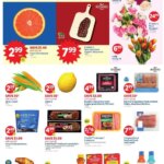 LIDL Weekly Ad - GA (05/09/2025) ☄️ >> Circular, Flyer