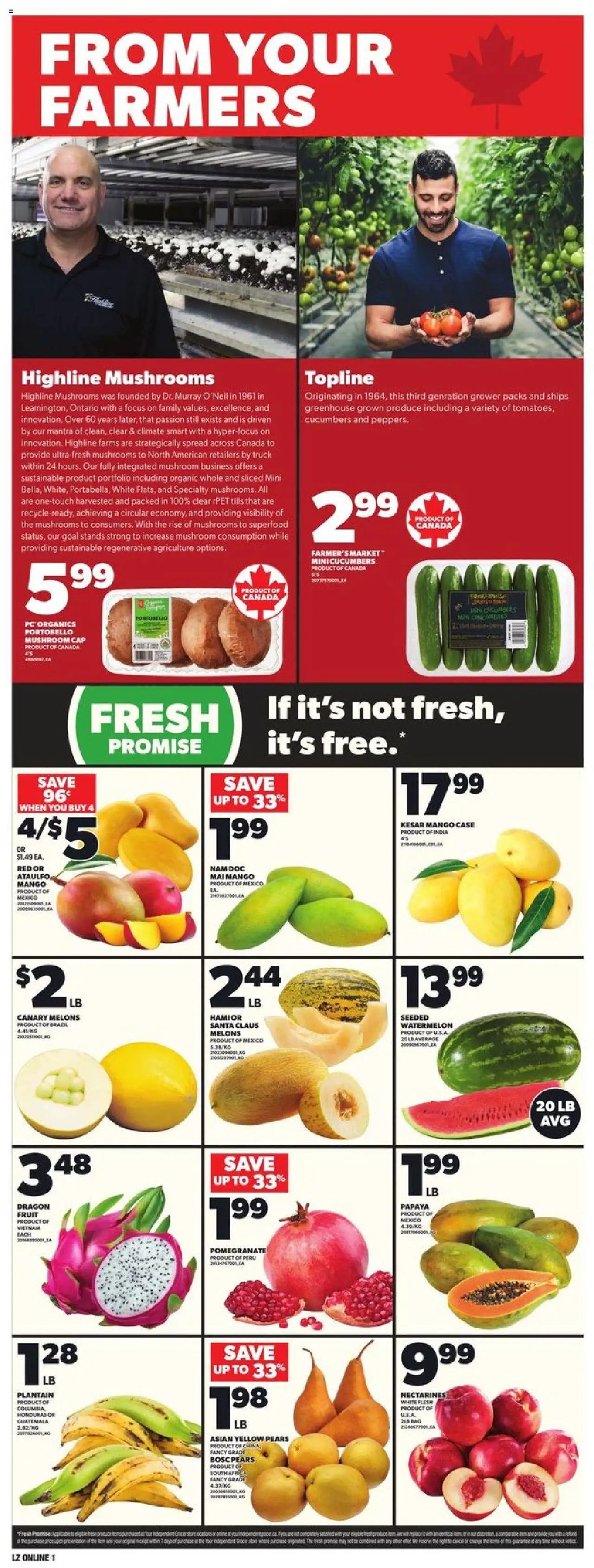 Loblaws flyer valid from Jun 05, 2025 - page number 8