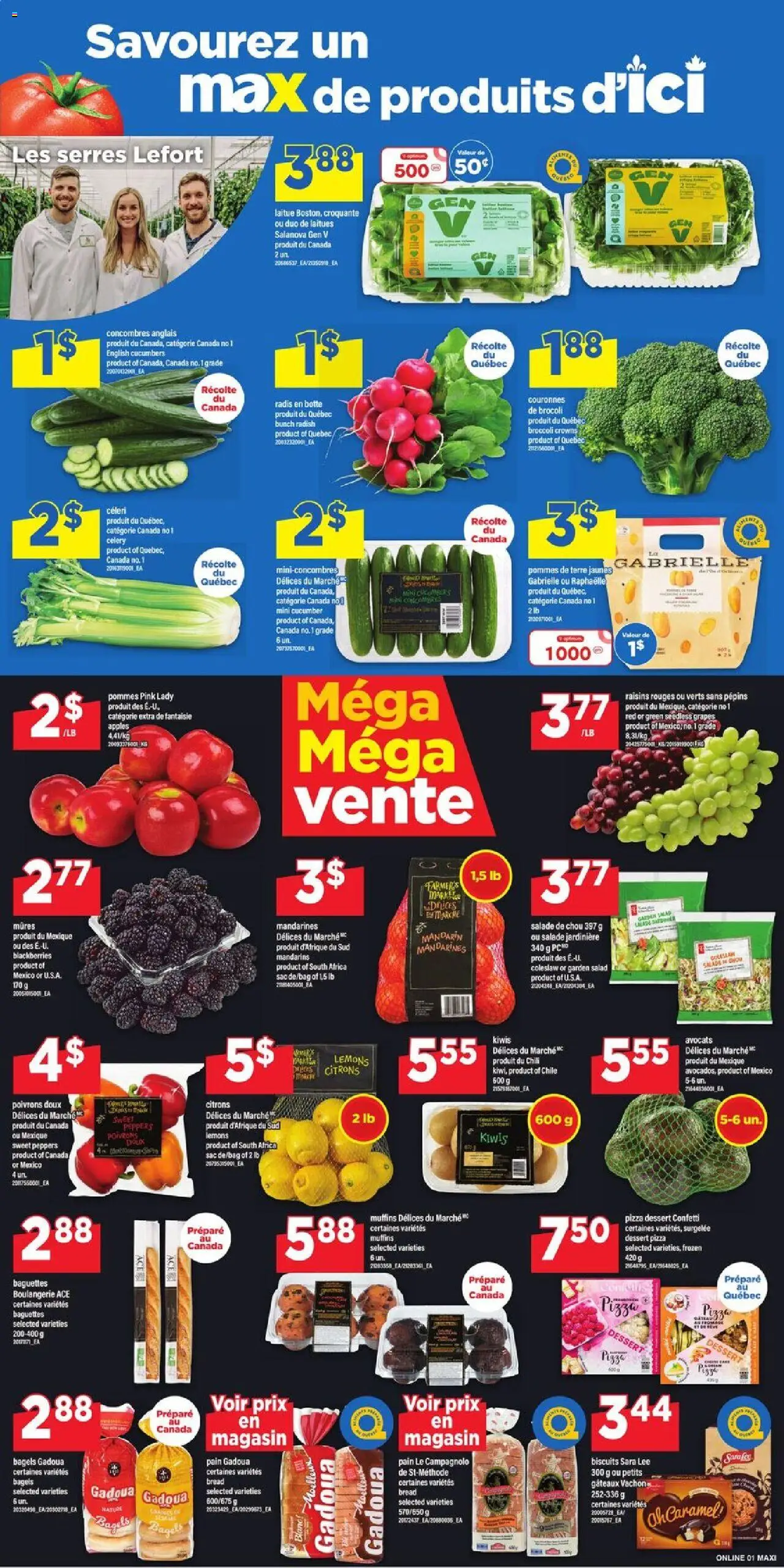 Maxi flyer valid from Jul 10, 2025 - page number 4