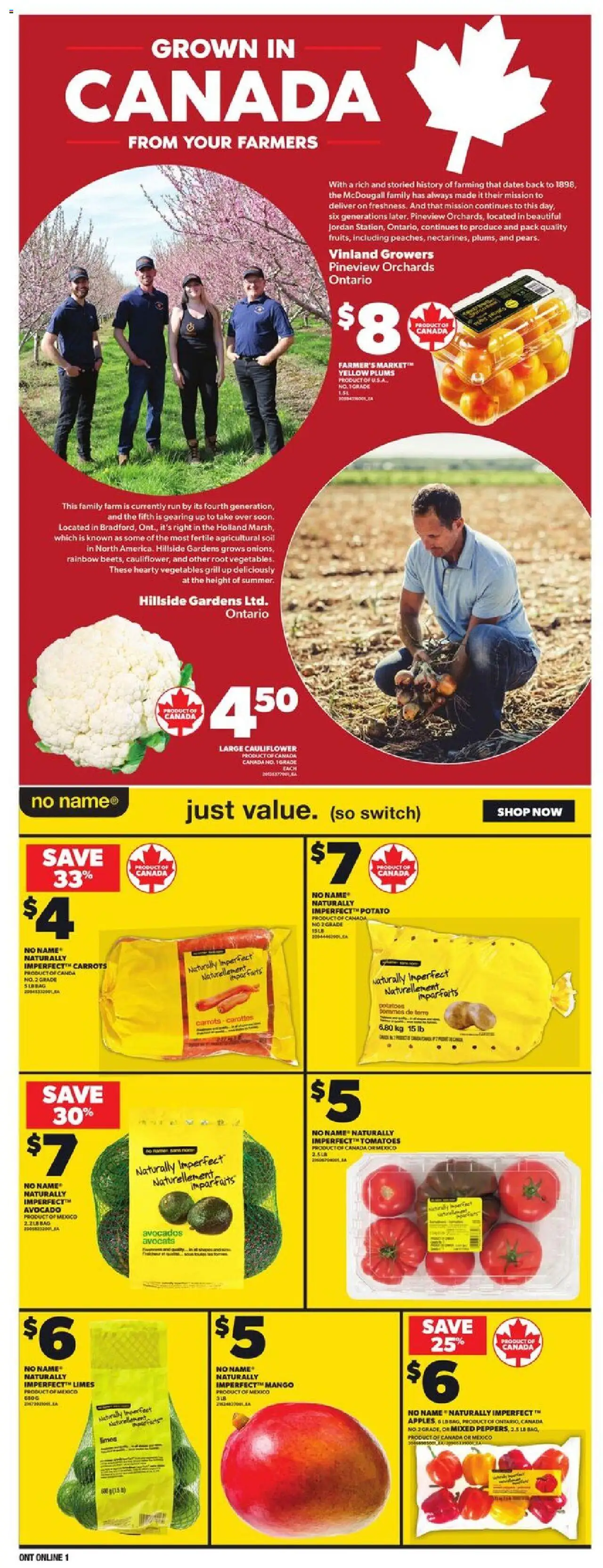 Loblaws flyer valid from Jul 17, 2025 - page number 10