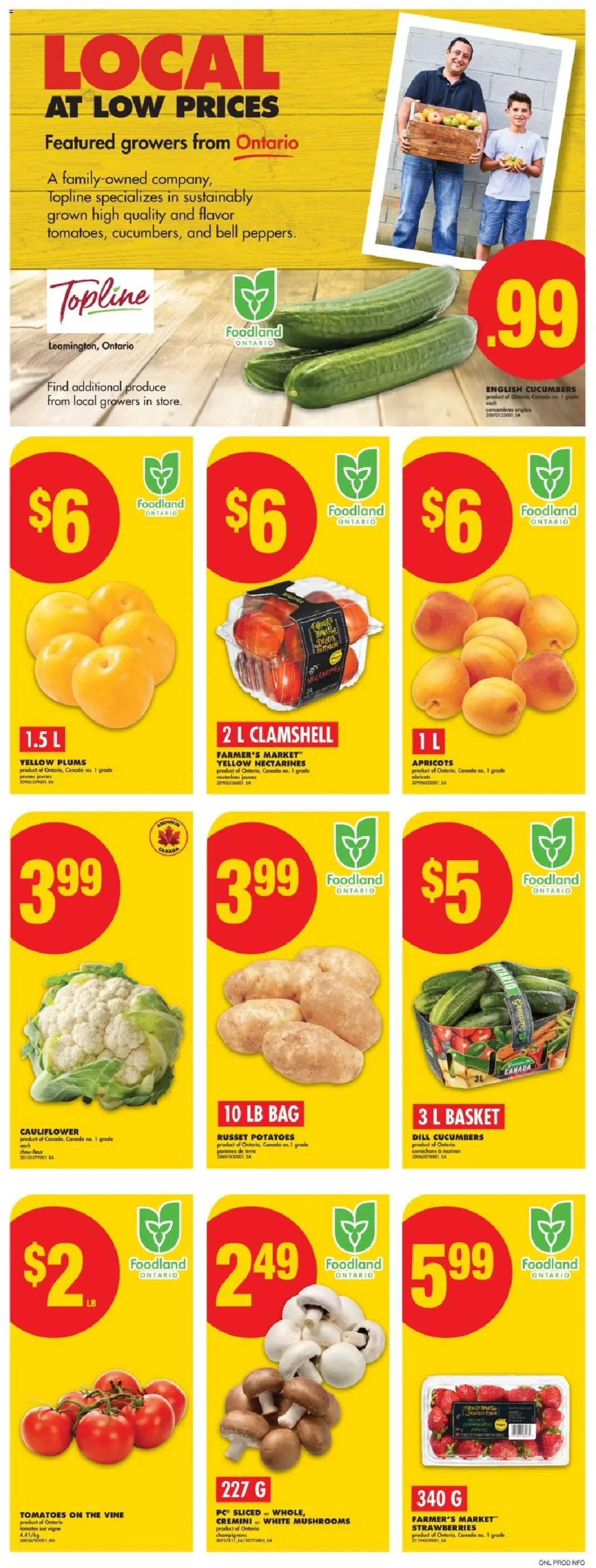 No Frills flyer valid from Jul 24, 2025 - page number 3