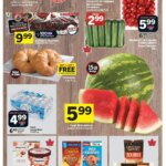 1753349502 540 Foodland weekly flyer starting Jul 24 2025 scaled
