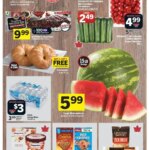 1753358077 934 Foodland weekly flyer starting Jul 24 2025 scaled