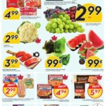 1753959766 728 Sobeys weekly flyer starting Jul 31 2025 scaled