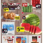 Foodland weekly flyer starting Jul 24 2025 scaled