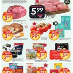 Sobeys weekly flyer starting Jul 17, 2025 ⭐️