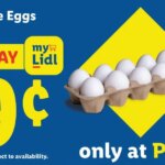 LIDL Weekly Ad - NJ (08/29/2025) ☄️ >> Circular, Flyer