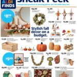 ALDI Weekly Ad from 08/20/2025 🛍️ > Flyer, Sales ad